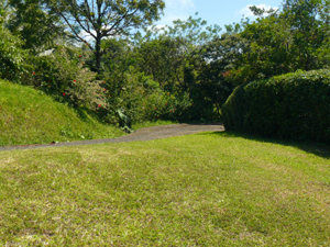 The paved road provides easy access to the lot.